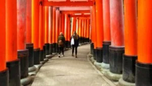 伏見稲荷大社の千本鳥居やパワースポット・参拝方法の徹底解説