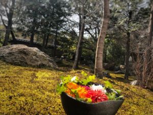 京都 勝林寺の花手水