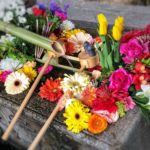 【勝林寺】京都で座禅・写経の体験を花手水はインスタ映え