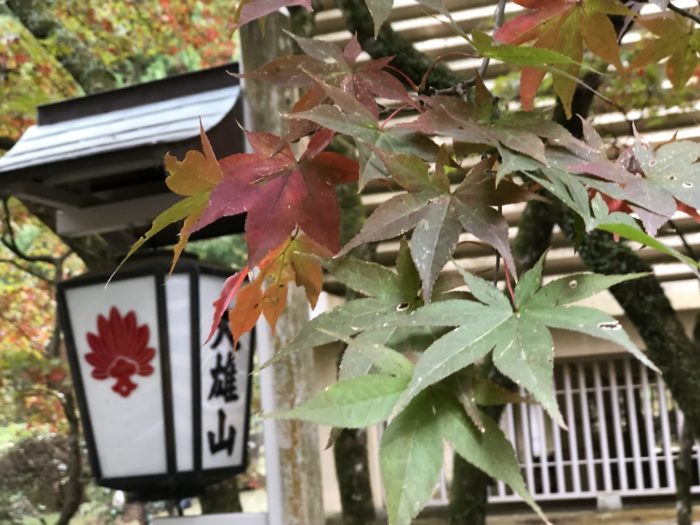 大雄山最乗寺 もみじ 紅葉の季節