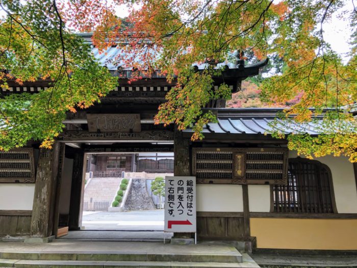 最乗寺「瑠璃門」の秋