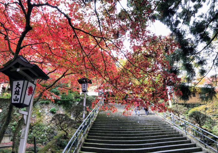 大雄山最乗寺 階段を登り本堂入口へ(秋)