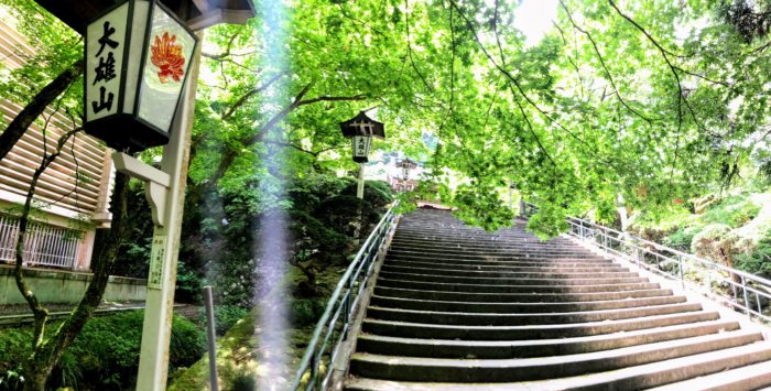 大雄山最乗寺 階段から「瑠璃門」を眺める