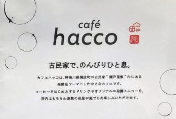 瀬戸屋敷 cafe hacco