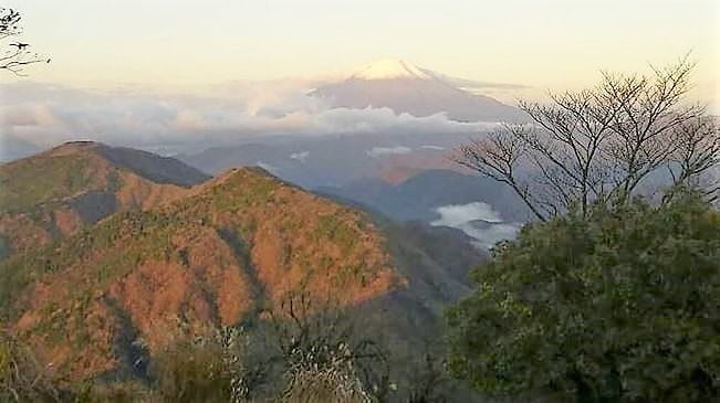 丹沢山 からの富士山