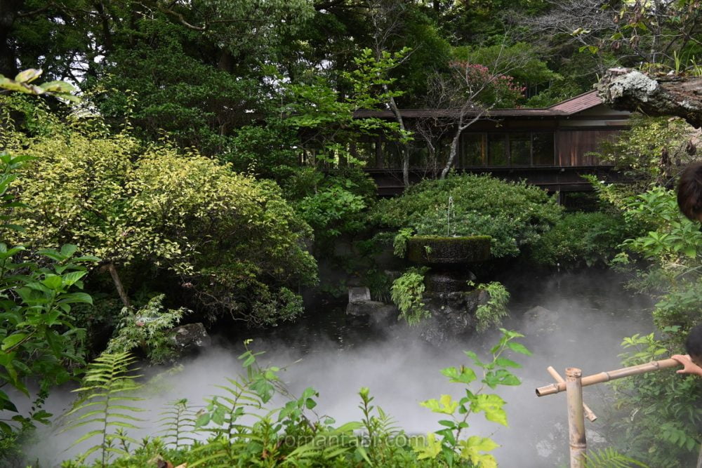 報徳二宮神社 神池