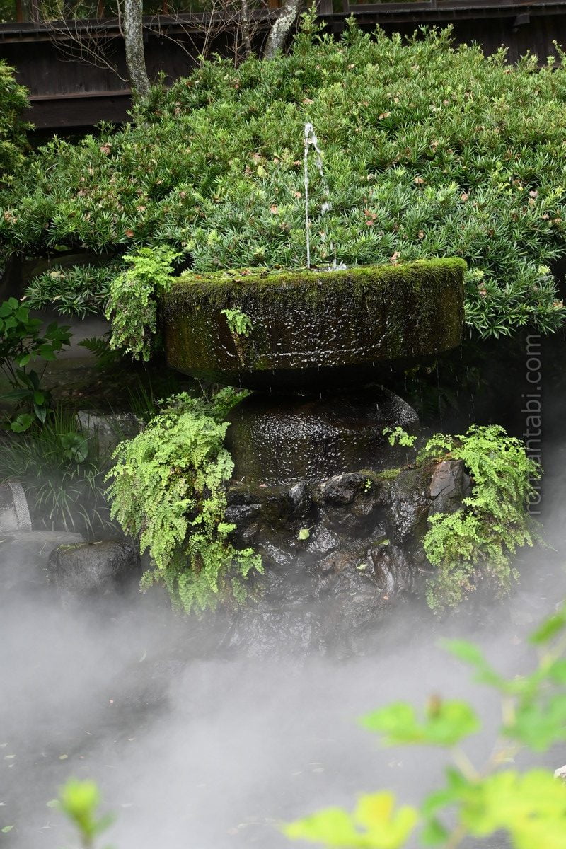 報徳二宮神社 神池