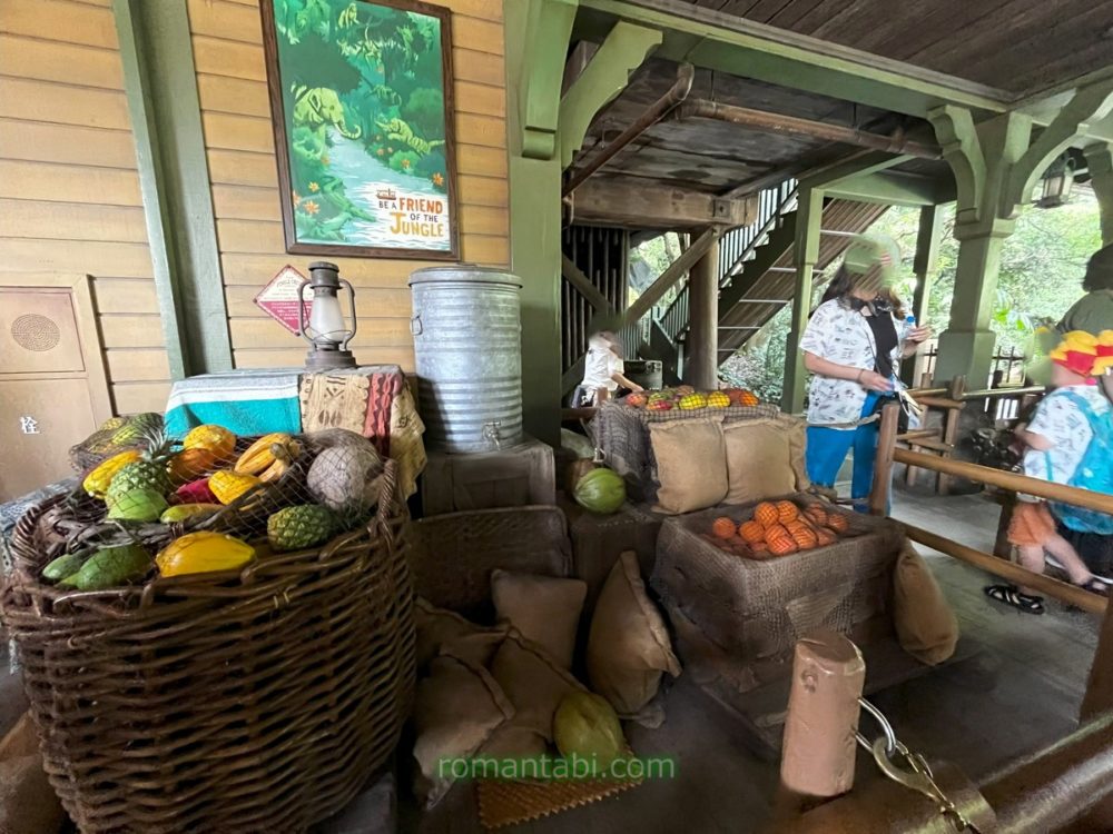 ディズニーランドのジャングルクルーズの待ち行列中のフルーツ