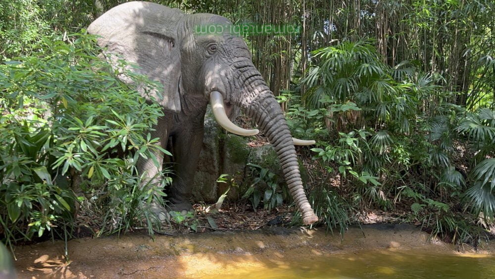 ディズニーランドのジャングルクルーズの像