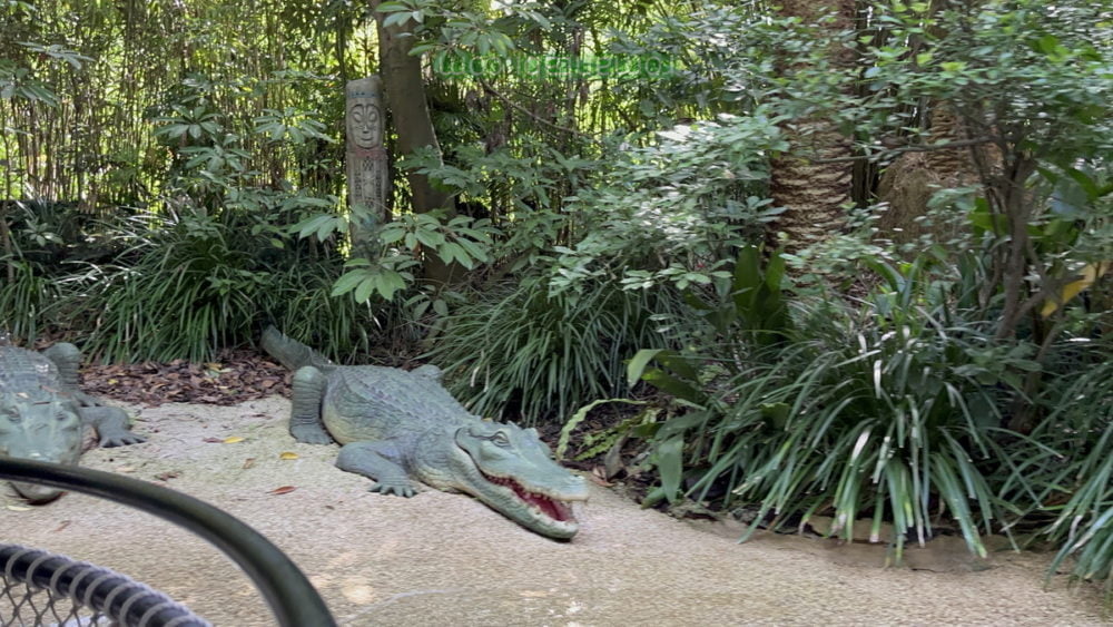 ディズニーランドのジャングルクルーズのワニ