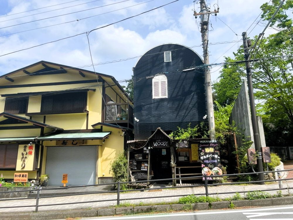 彫刻の森駅のWoody