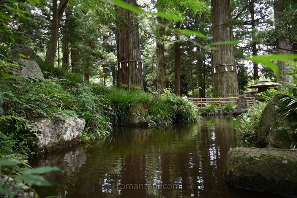 河口浅間神社・池