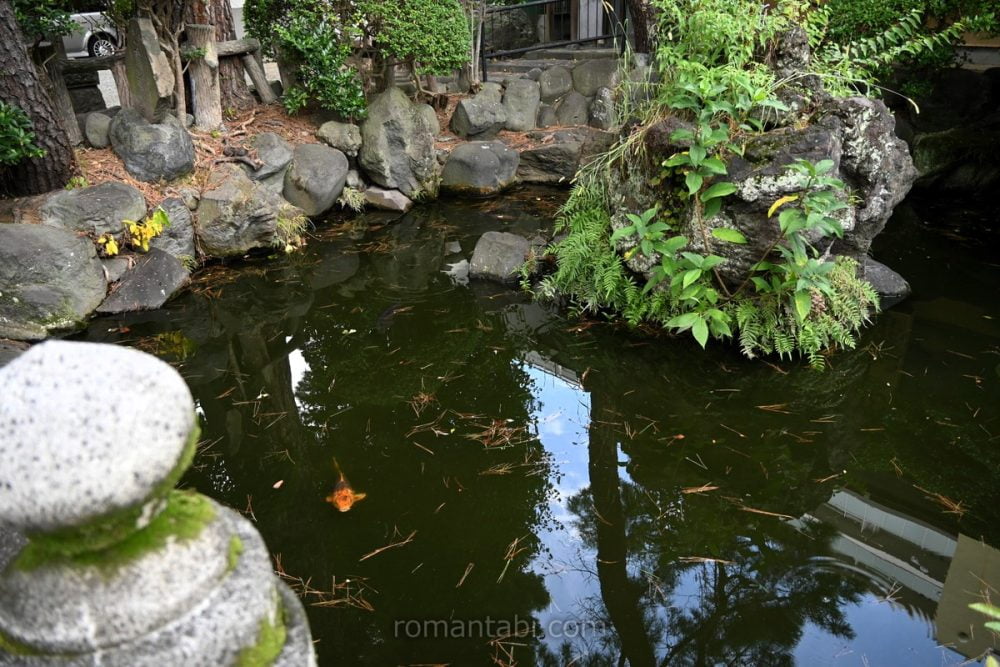 松原神社の池