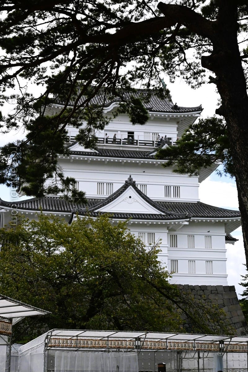 小田原城天守閣