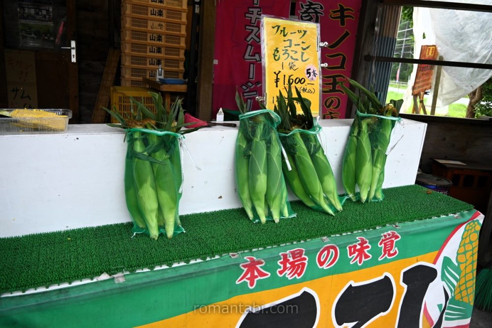 河口湖の道路沿いのもろこし