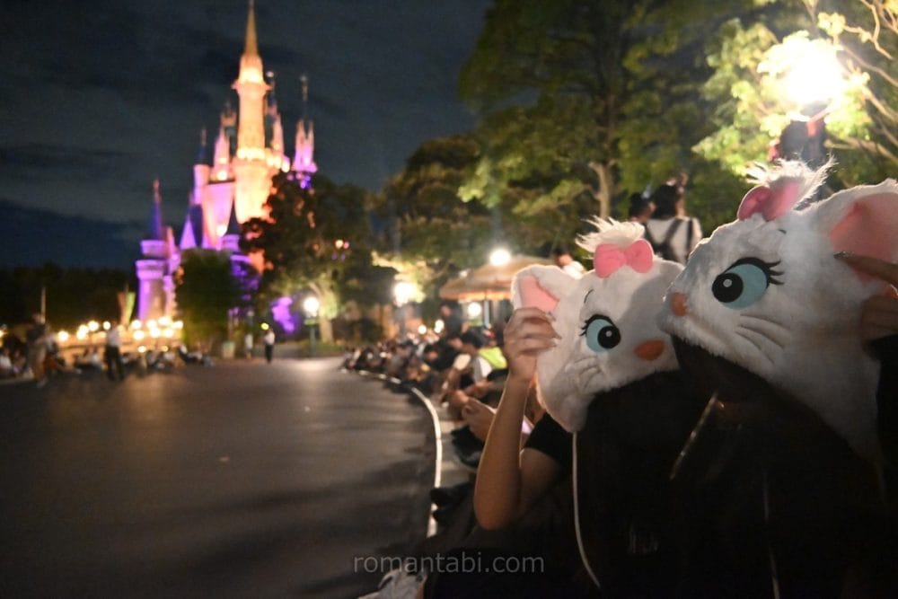 マリーとシンデレラ城