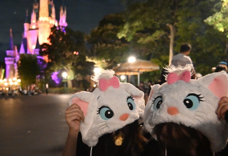 マリーとシンデレラ城