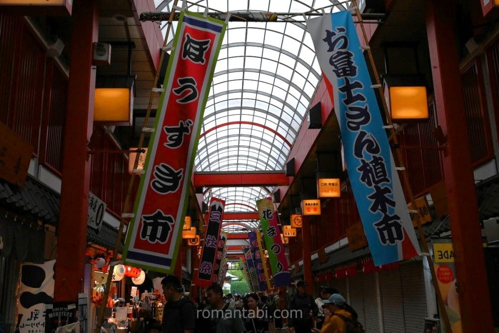 Traditional architecture at Nishisando
