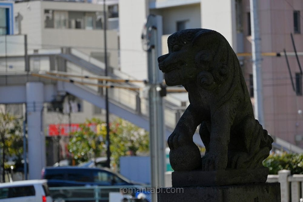 亀有香取神社の狛犬