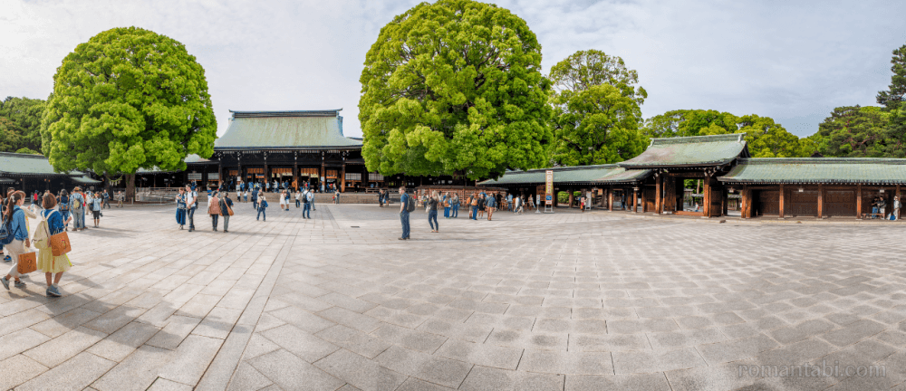 明治神宮の左右の楠/The camphor trees on the left and right of Meiji Shrine