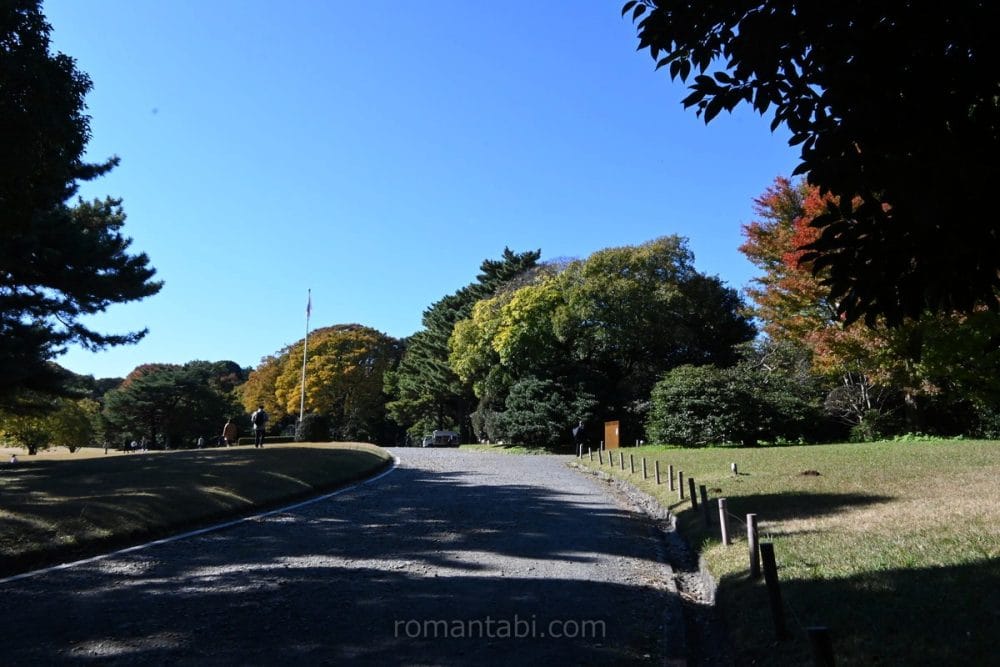 明治神宮の北側の広場