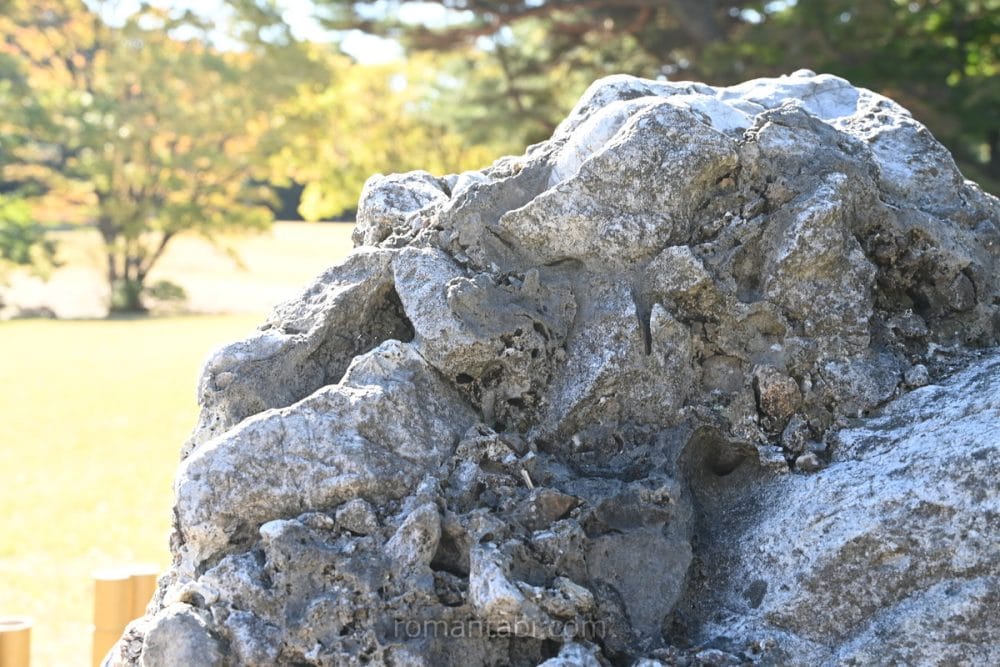 明治神宮のさざれ石/ Pebbles at Meiji Shrine