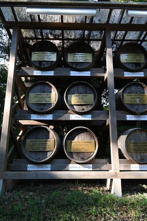 明治神宮のワイン樽/Wine barrels at Meiji Shrine