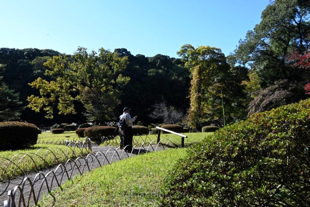 明治神宮御苑 山/Meiji Shrine Gardens 