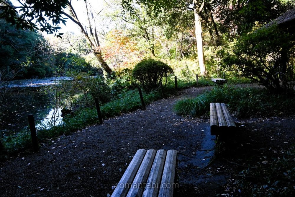 明治神宮御苑 中の島 /Meiji Shrine Gardens Nakanoshima