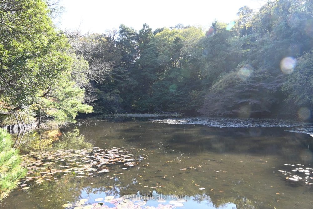 明治神宮御苑 中の島 /Meiji Shrine Gardens Nakanoshima