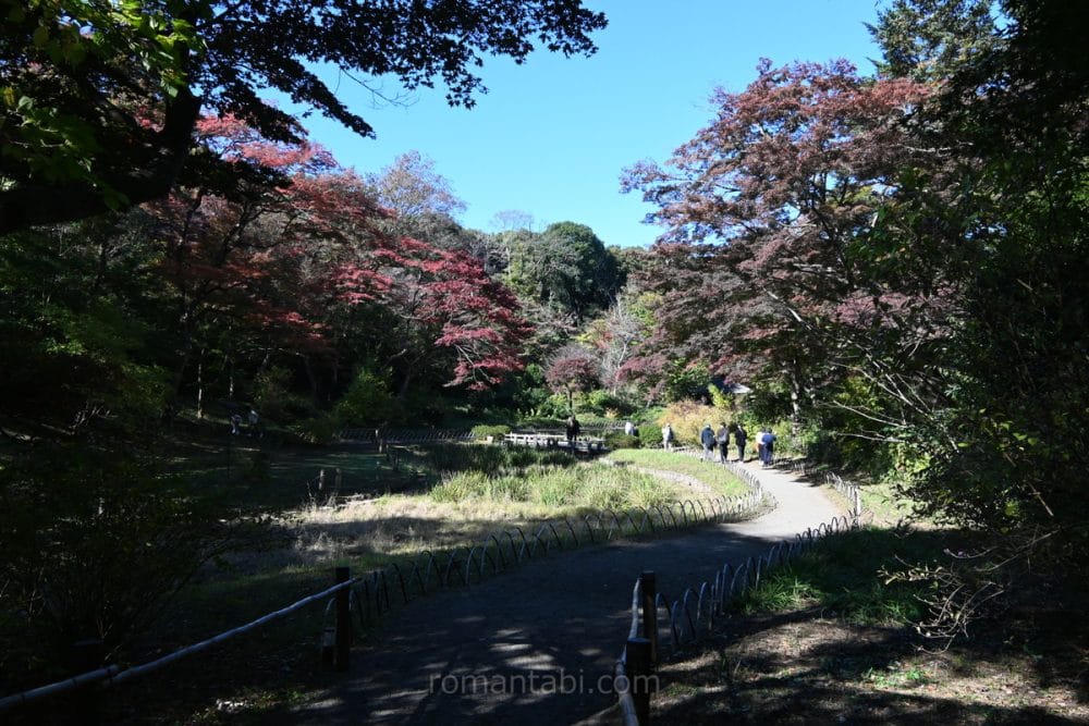 明治神宮御苑 山/Meiji Shrine Gardens