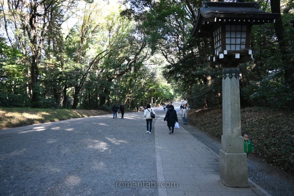 明治神宮の南参道/The south approach to Meiji Shrine