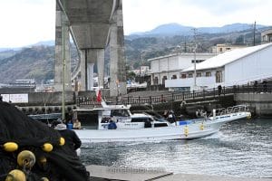 【小田原 早川港】絶品海鮮ランチ＆食べ放題！駐車場情報も紹介