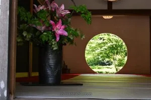 明月院の魅力・御朱印と紫陽花を巡る鎌倉｜アクセス＆写真映えスポット