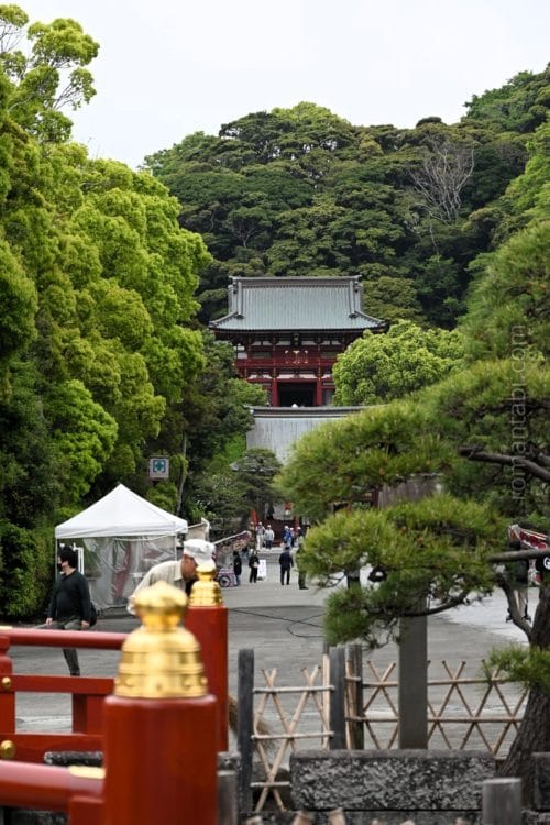 鎌倉・鶴岡八幡宮の太鼓橋と本殿