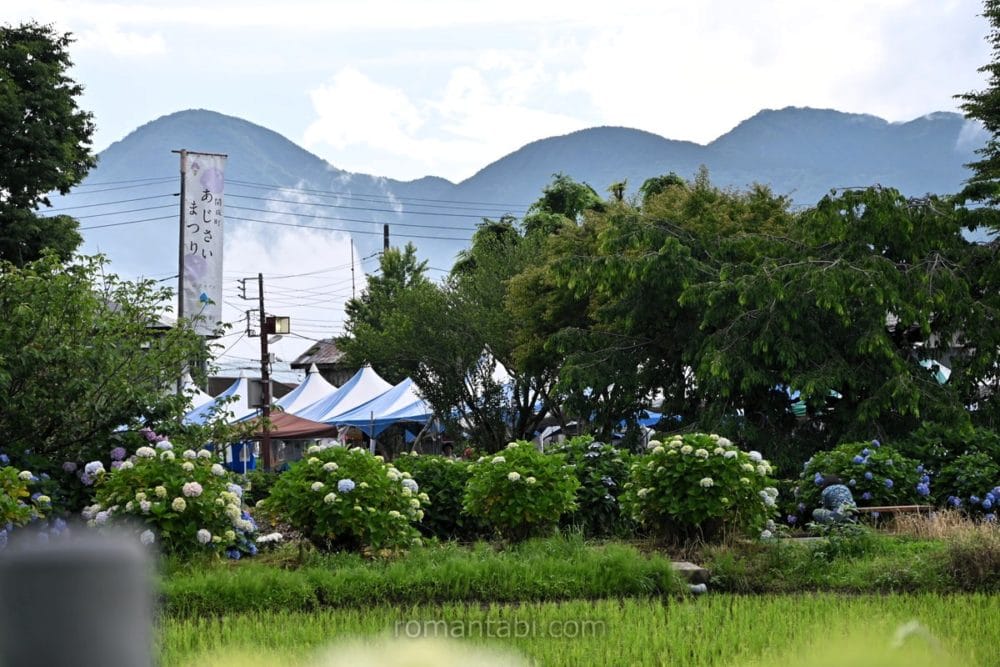 開成あじさい祭りの幟