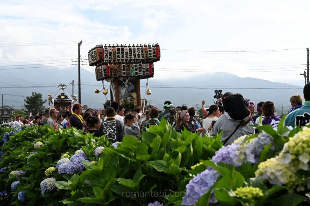 開成あじさい祭り・神輿利行