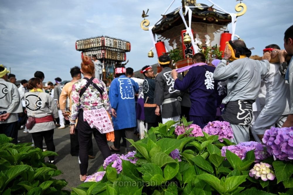 開成あじさい祭り・神輿利行