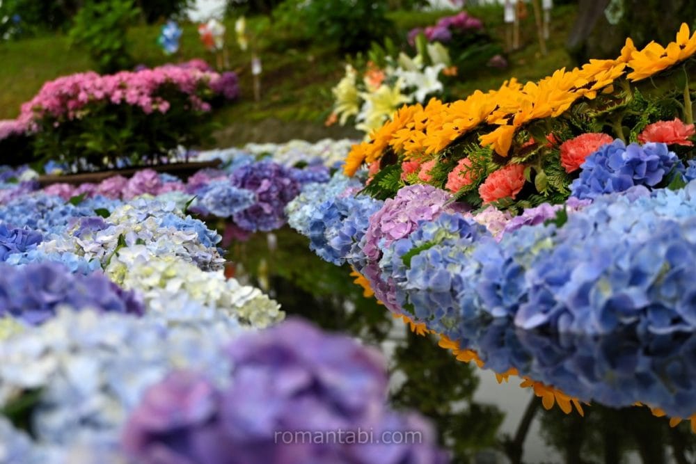 開成あじさい祭り・あじさい池