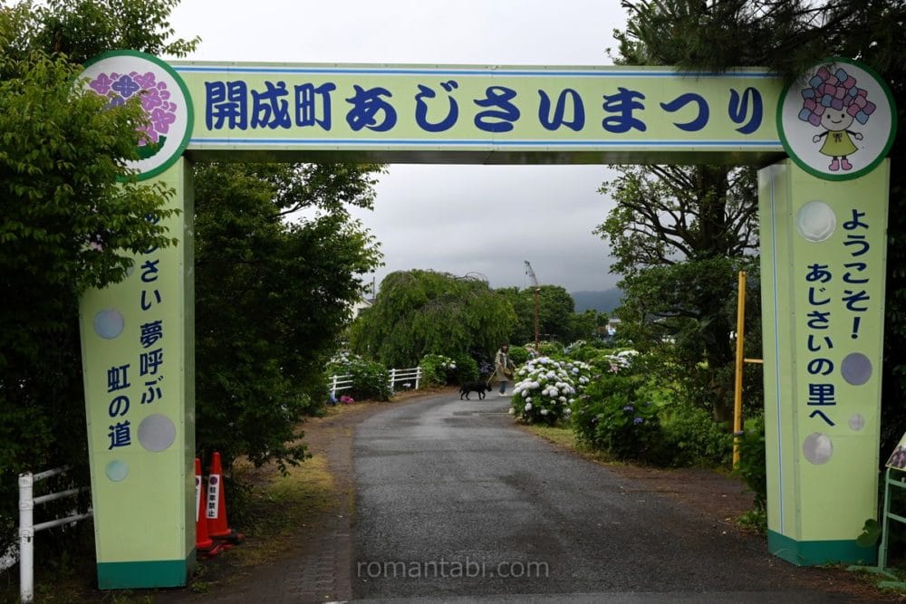開成あじさい祭りのゲート
