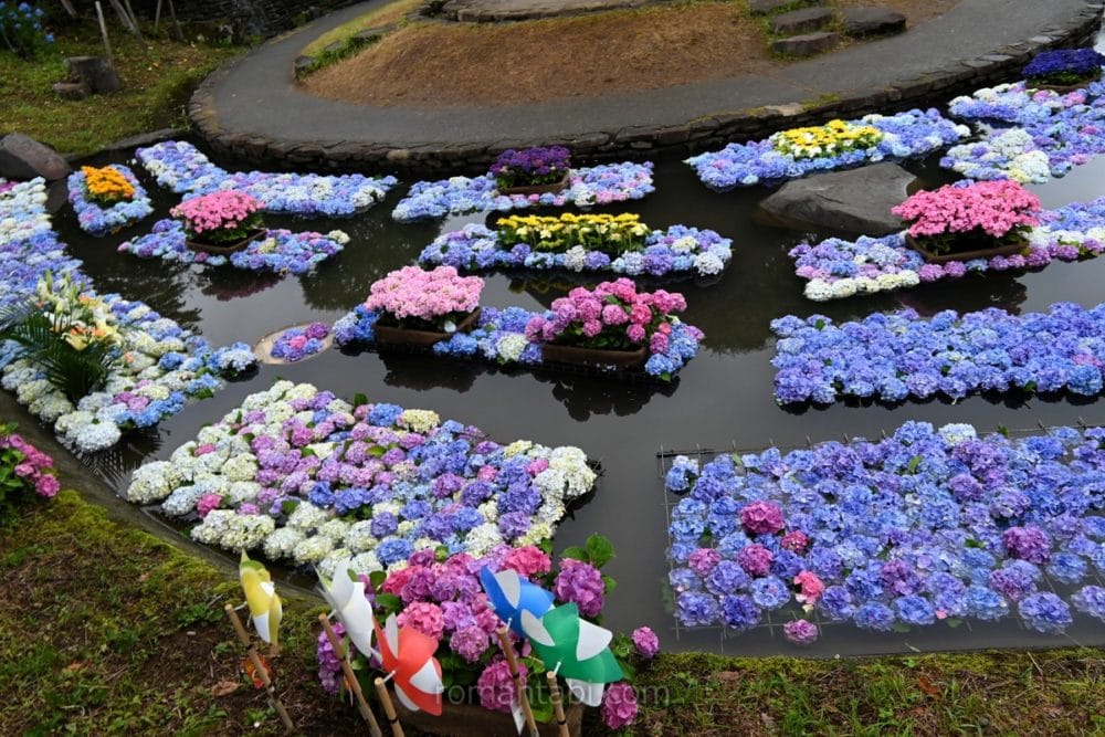開成あじさい祭り・あじさい池
