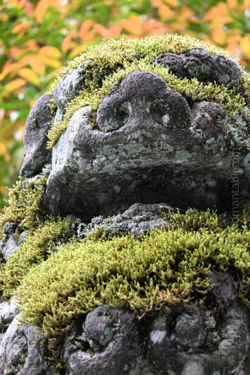 箱根神社・苔むした狛犬