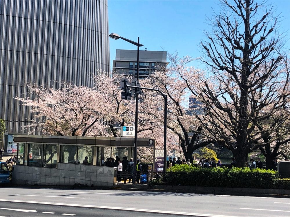 九段下駅と桜