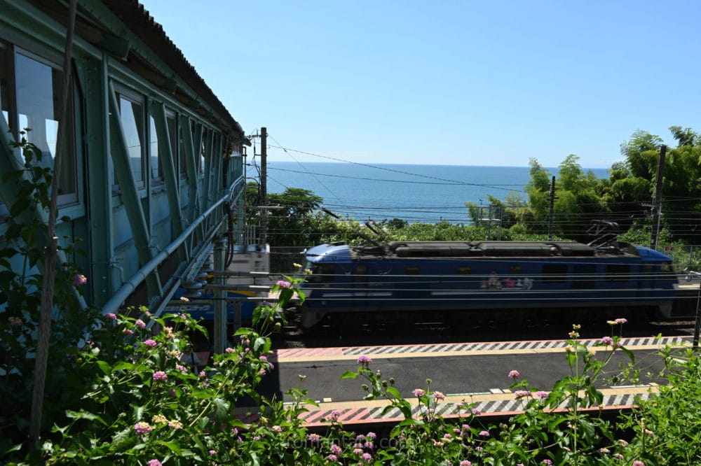 海をバックに根府川駅を走る貨物列車