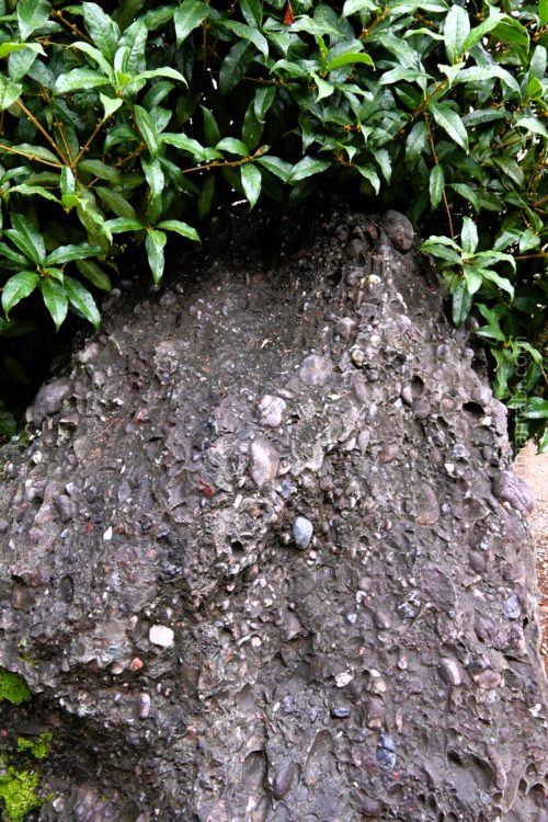 靖国神社・さざれ石