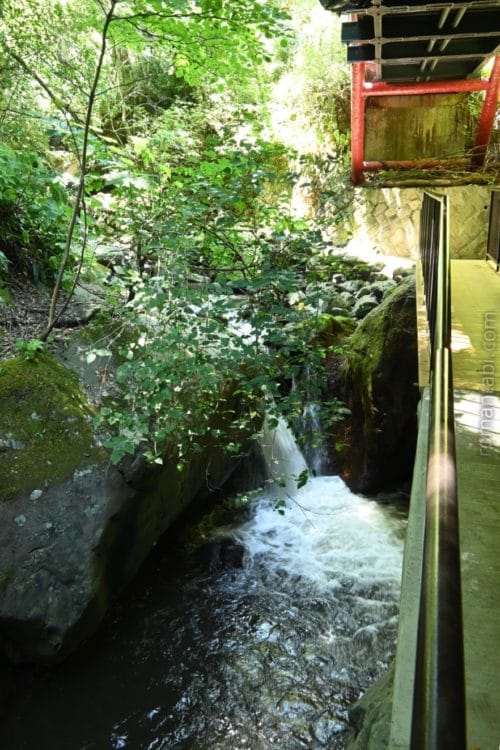 湯河原・万葉公園・トンネルを抜ける