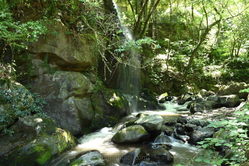 湯河原・万葉公園・滝