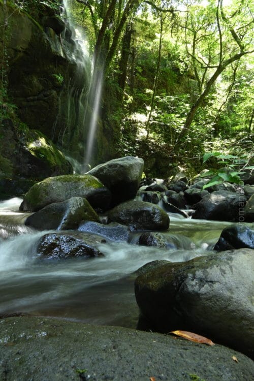 湯河原・万葉公園・滝