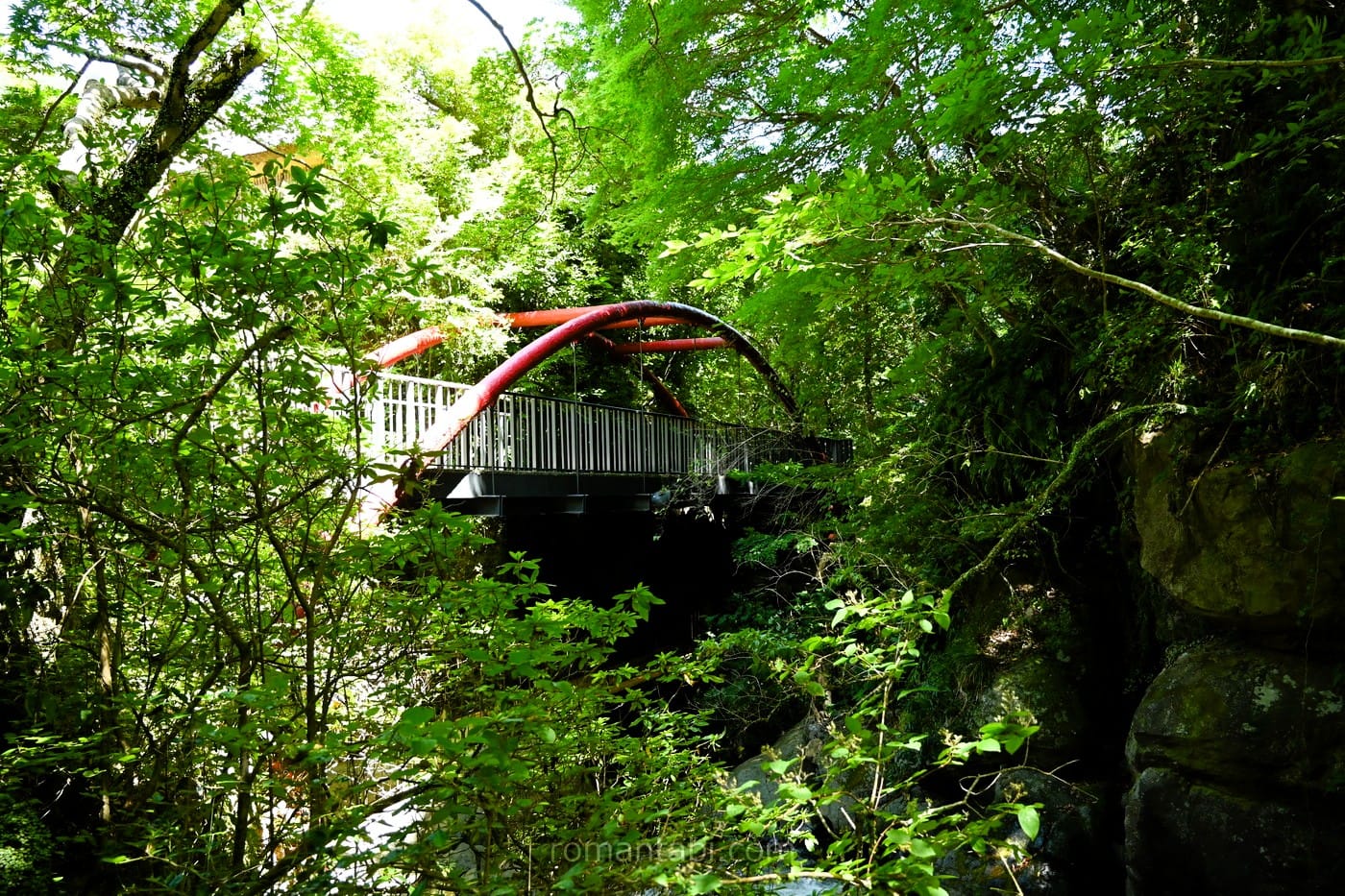 湯河原・万葉公園で真夏の森林浴｜ひんやり癒しの散策路を写真で紹介！