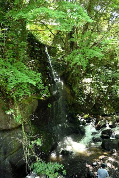 湯河原・万葉公園・滝